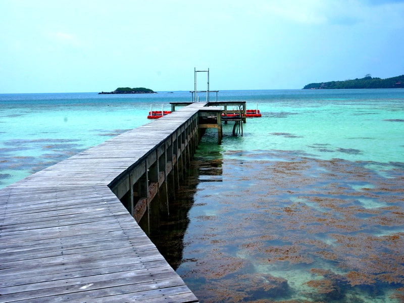 Wisata Jepara Terbaru: Menikmati Indahnya Pesona Destinasi Baru 1 Gambar Destinasi Wisata Taman Nasional Karimunjawa