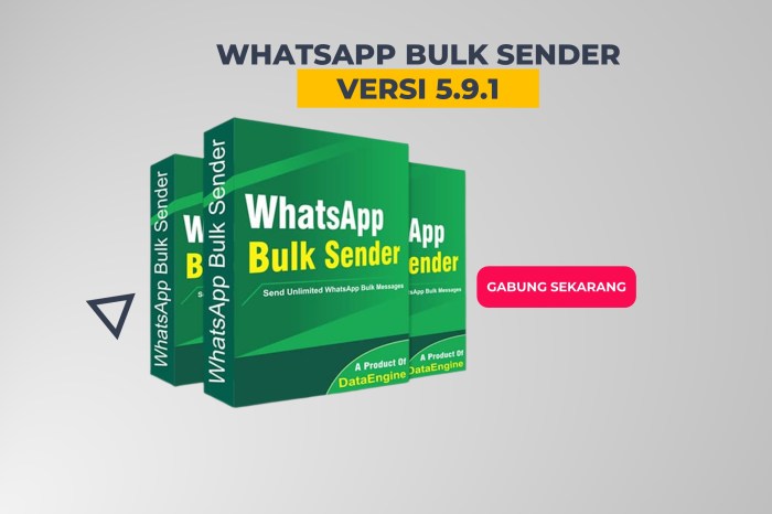Gambar Maksimalkan Promosi Bisnis Anda Dengan Wa Blaster Pro