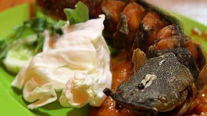 Pecel lele spesial nasi teh kediri inggris kampung Pecel Lele Spesial Nasi Teh Kediri Inggris Kampung