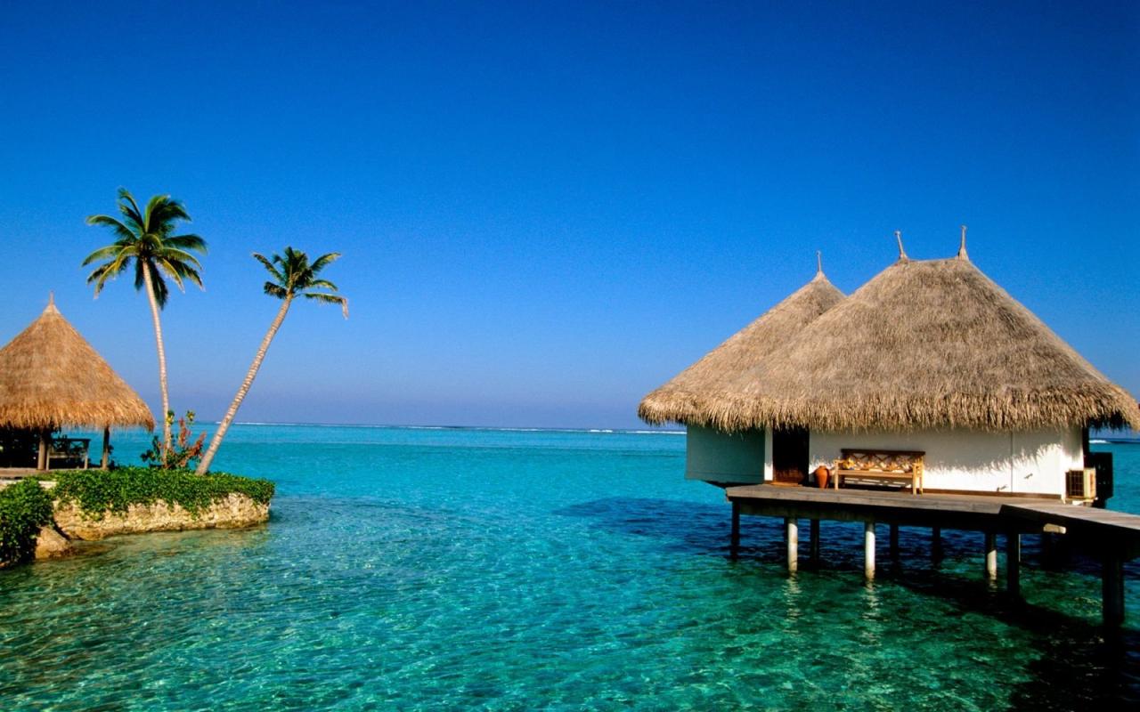 Tropical beach travel holidays vacation deals ideas resorts swimming pool flowers hotel relax imagen groupon Tempat Liburan