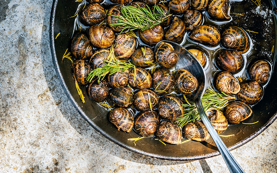 Snails cook Snails Cook