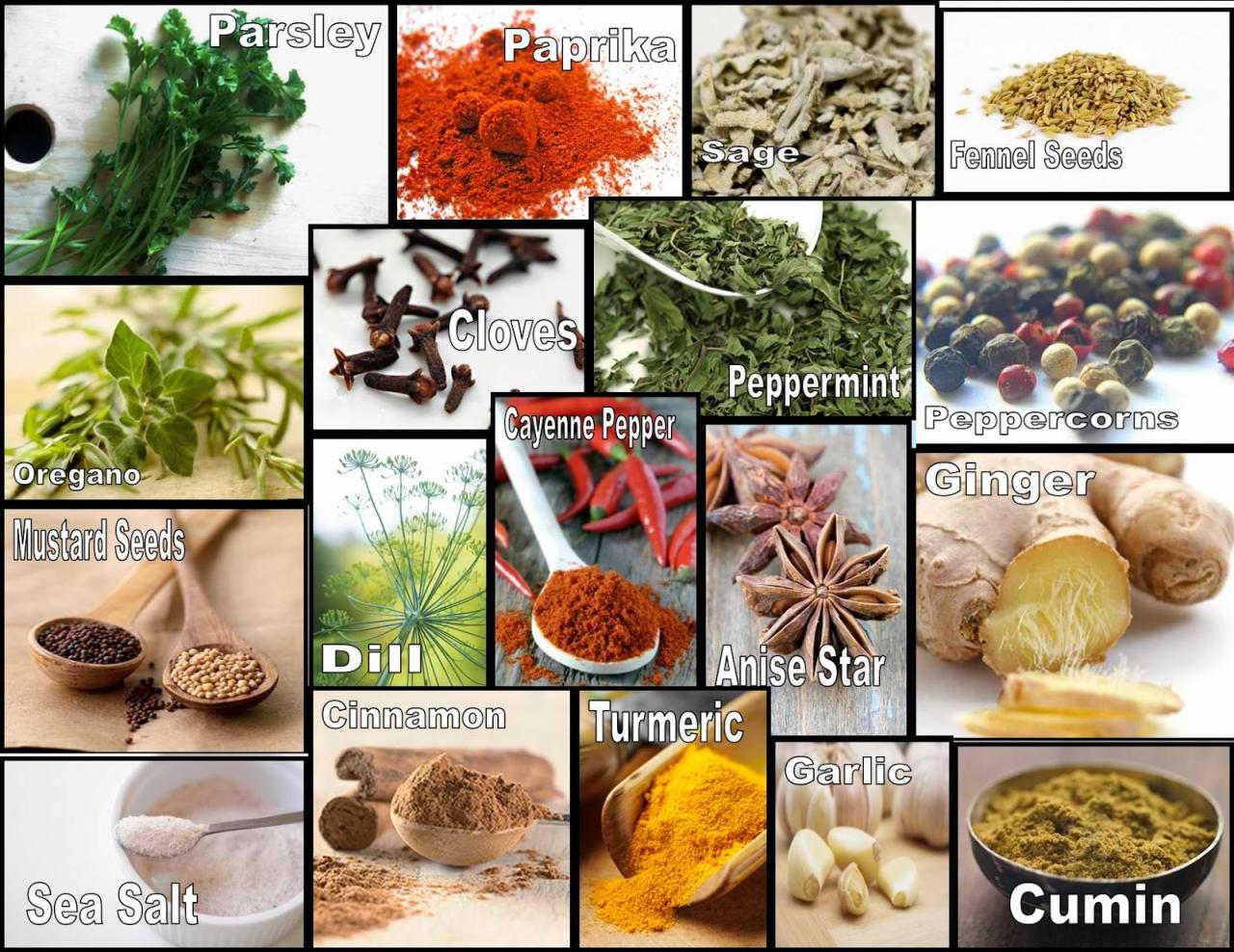 Spices Sebutkan Rempah-Rempah Untuk Memasak