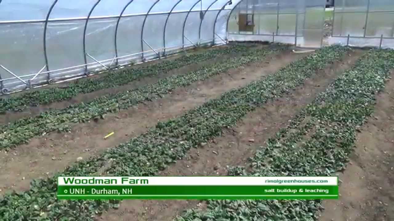 Soil buildup salinity percolating evaporating agricultural threat usda mccabe planet conservation effect nrcs Cara Membasmi Gurem Yang Sudah Menyebar Di Peternakan