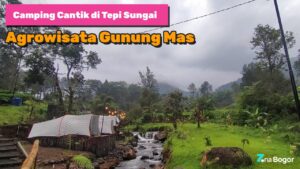 Gunung mas puncak bogor wisata agro 8