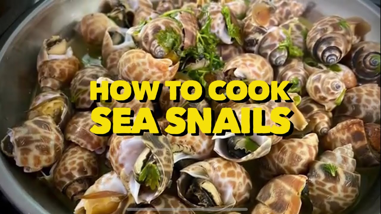 Snails escargot cook Snails Escargot Cook